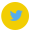 twitter-icon